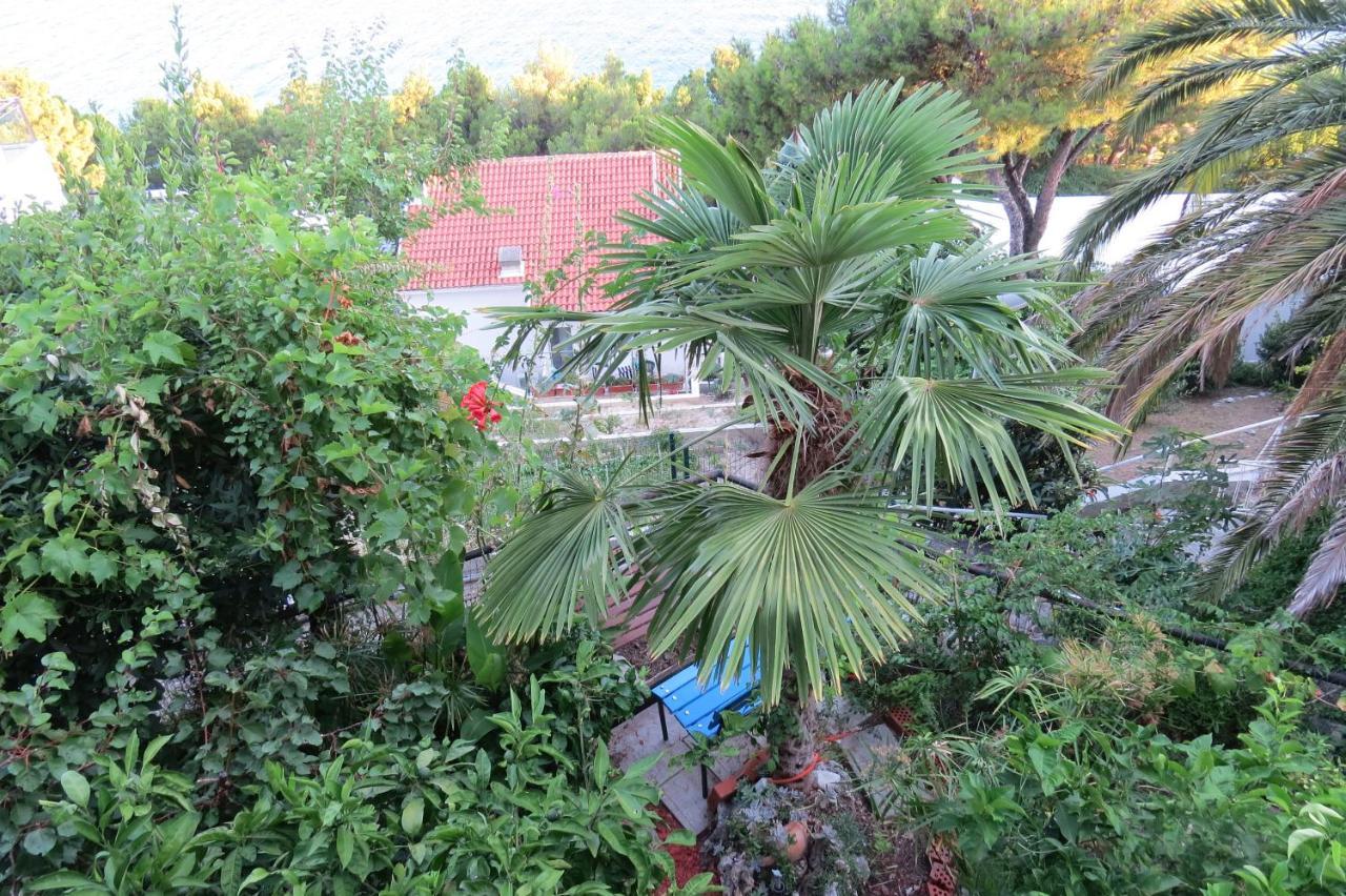 Apartments Feral 2 Baška Voda Екстериор снимка